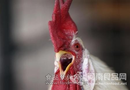 路透社：h7n9病毒基因仍在演变